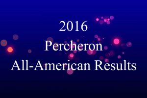 2016 Percheron All-American