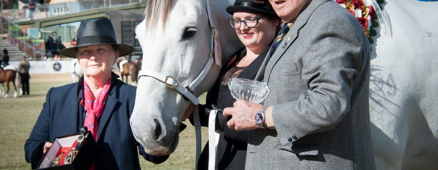 PHAoA USLGE mission to The Royal Queensland Show by Stacie C. Lynch