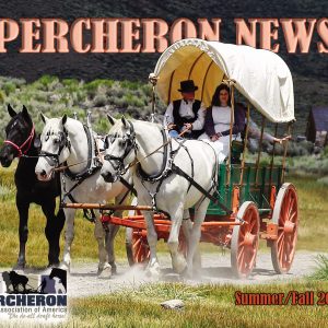 2020 Summer/Fall Percheron news