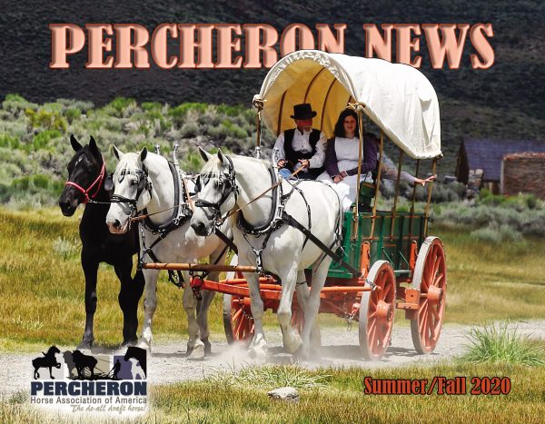 2020 Summer/Fall Percheron news