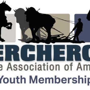 Youth Membership