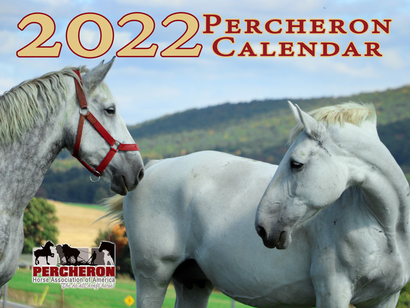 2022 Percheron Calendar - Phaoa