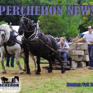 2021 Summer/Fall Percheron News